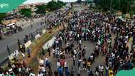 Tension as 6 protesters reportedly shot dead in Niger state