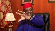 Fani-Kayode: 'Yan siyasa suna shirin tarwatsa APC da PDP, za su kafa tasu jam'iyyar