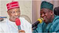 Trouble for Tinubu, APC as Kwankwaso appoints Ganduje’s Ex-strong Men to lead NNPP Gov’ship campaign in Kano