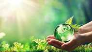 The Role of Corporate Nigeria in Driving Sustainability by Benedict Elujoba