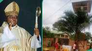 Jubilation as Catholic priest installs solar-powered boreholes in 9 Imo villages, photos emerge