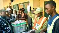 2023 governorship election results: Updated full list of states won by APC, PDP, NNPP and Labour Party