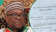 ‘Pass in English and Maths’, reactions as Peter Obi’s WAEC certificate surfaces