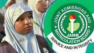 Law, medicine: Al-Hikmah University lists 2025/2026 courses for candidates with 150 to 200 in JAMB