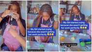 "Last born don come learn work": Female apprentice bursts into tears over baking, madam laughs in video