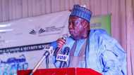 Kano government bans men, women from swimming in same pool, children from entering hotels