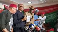 2023: Why Peter Obi is a scam, Asari Dokubo reveals, tackles Labour Party's presidential candidate