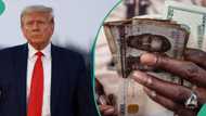 Dollar rises against pound, euro after Trump’s victory, naira falls