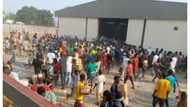 BREAKING: Hoodlums defy Buhari, loot COVID-19 palliatives warehouse in Abuja