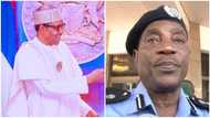 BREAKING: Buhari decorates ex-IGP with new role 2 months to leaving office