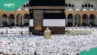Nigeria to host major Hajj–Umrah expo 2026 in Abuja