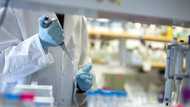 Coronavirus: Nigerian doctors reject invitation to Chinese medical team