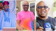 Fayose's brother makes huge claim about Peter Obi’s case against President Bola Tinubu