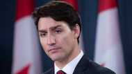Canadian prime minister Justin Trudeau in brownface racism scandal as 2001 yearbook photo surfaces