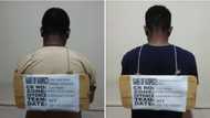 Apostolic church pastor working with Yahoo boy arrested by EFCC (photos)