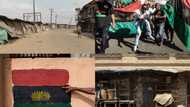 IPOB: Enugu residents, traders recount ordeal as sit-at-home directive bites hard