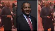 Na poor people dey stress: Reactions as Aliko Dangote shows off soft billionaire moves to Teni's Case