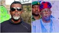 Tinubu’s alleged certificate forgery: Omokri reveals his findings at Chicago varsity, shares ‘receipt’