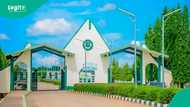 Stray bullet kills 400-level IBB University student during land dispute in Niger state