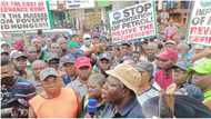 BREAKING: NLC issues FG fresh ultimatum over ASUU strike