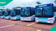 “Independence Day gift”: FG rolls out 64 CNG buses for Nigerian workers