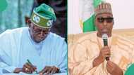 Middle Belt youths stand by Tinubu, Borno’s Zulum, APC’s Balami affirms