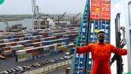 List of countries buying Nigerian goods as exports hit over N20 trillion