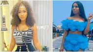 BBNaija's Mercy marvels at the abundance of quotes online, says there is one to justify every stupidity
