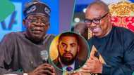 Why Peter Obi will work for Tinubu in 2027, Deji Adeyanju speaks