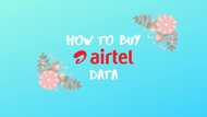 Airtel data plan: how to buy, plans, bundles, guidelines (2024)