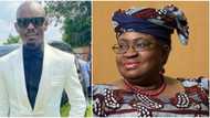 Comedian Mr Jollof thanks Ngozi Okonjo- Iweala, says she has changed the narrative of Nigerians
