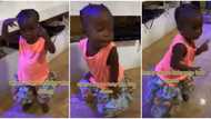 She can dance for Africa: Absolutely amazing baby girl jumps on Buga by Kizz Daniel, dances with swag in video