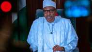How I will lift 100 million Nigerians out of poverty - President Buhari