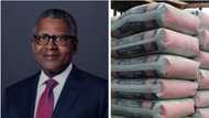 Dangote Cement to acquire 168 million shares in share buyback program