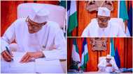 COVID-19: Photos show Buhari working from home as he observes isolation after UK trip
