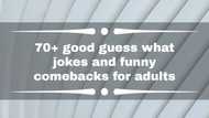 70+ good guess what jokes and funny comebacks for adults