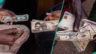 Dollar recovers, sells at new exchange rate in official, Black FX markets