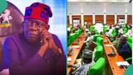 N-Power: Fire destroys NSIPA's warehouse as reps order Tinubu to unfreeze accounts