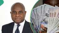 Ex-CBN deputy governor speaks on exchange rate returning to N400/$ after massive gain in one week