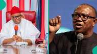 Akpabio mentions what Obi must do to defeat Tinubu ahead of 2027 election