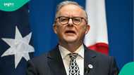 Australia tightens student and working holiday visa rules to cut immigration