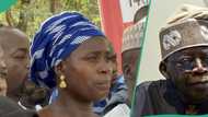 Chibok Girls: CSO lists 4 things Tinubu’s govt must do to ensure security of schools in Nigeria