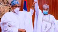 Buhari finally reveals why APC lost states in 2019 elections