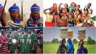 Africa's 10 most populous ethnic groups, see where your tribe stands
