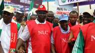 NLC strike: Between Nasir El-Rufai and Kaduna civil servants by Lawal Adewale