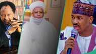 Shehu Sani reacts to alleged plot to dethrone Sultan of Sokoto