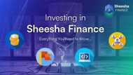 Investing in Sheesha Finance: Everything You Need to Know