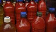 Nigeria, Côte d'Ivoire, and Cameroon lead African countries with highest palm oil production