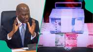 Despite rise in digital payments CBN approved printing of 5.71bn banknotes in 2025