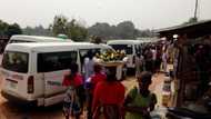 ASUU Strike: University lecturer takes to hawking potatoes to survive